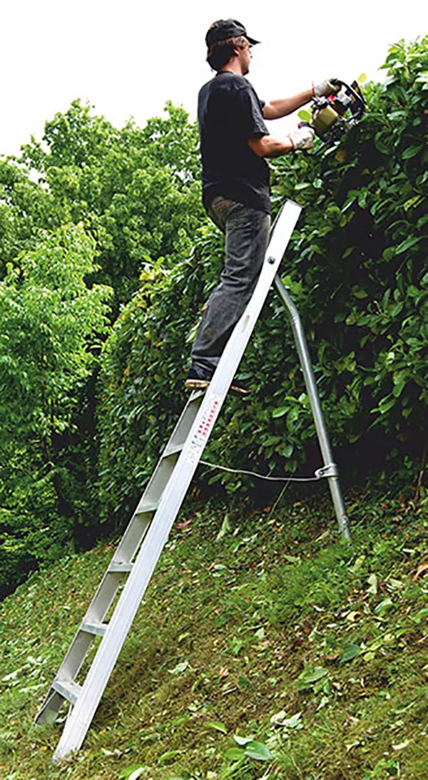 Obstbaumleiter mit Spitzendemit teleskopischer Erdspitze